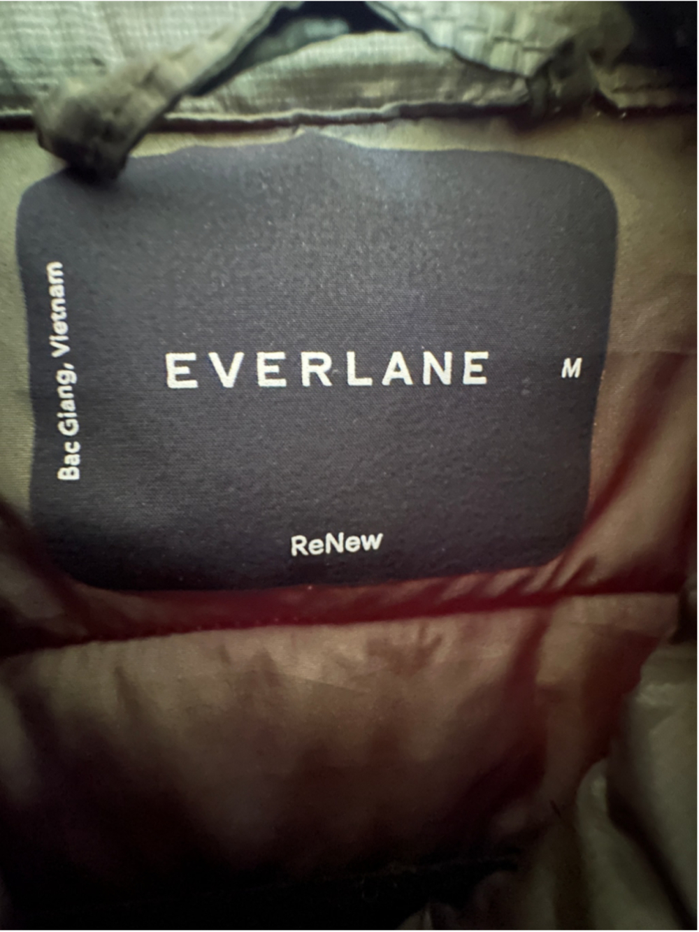 Everlane ReNew Quilted Puffer Jacket Women's Lightweight Green M - Picture 3 of 6